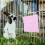 Bunny Koeltas Met Herbruikbare Ijspack Konijn Cavia Hamster 6
