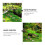 Ornamente Set Mediterraner Für DIY Garten 10