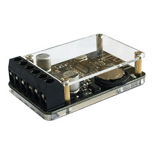 10 Watt 15-20 Watt Stereo Audio VerstäRker Platine Modul 12 V 24 V Verlust Freie Auto Lautsprecher Audio Diy