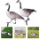 8 Gartenente Acryl Schilder 10