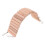 1Ud Nido Oculto Para Pequeños Reptiles Con Madera Resistente Chocolate 5