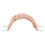 1Ud Nido Oculto Para Pequeños Reptiles Con Madera Resistente Chocolate 3