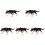5Pcs Realistic Wolf Model Fake Wild Animal Figure 4