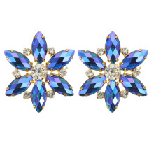 2 Pairs Rhinestone Flower Shoe Buckle Women'S Bride Dressy Clips