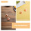 10Pcs Fake Cooked Shrimp Model For Display - Realistic Seafood Decor 8