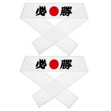 2pcs Japanese Martial Headband Sports Running Karate Strap