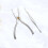 2 Pezzi Set Utensili Acciaio Per Granchi Con Punteruolo E Pinza 9