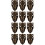 12 Pcs Box Buckle Iron Wooden Box Hook Lock 5