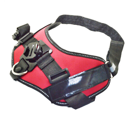 Chest Harness Per Cane Regolabile Per Riprese Video 2