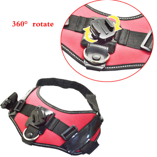 Chest Harness Per Cane Regolabile Per Riprese Video 1