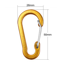 10er-Pack Mini-Aluminiumkarabiner für Camping, Wandern, Rucksack und Schlüsselbund