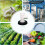 Sturdy Plastic IBC Lid, Nylon Filter for Efficient Rain Water Tank Management 3