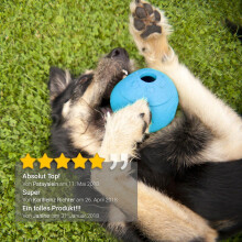 Spielzeug für Haustiere, Kau- und Spielzeugball aus Gummi für Hunde, ideal zum Spielen, Kauen und Greifen, aus natürlichem Material