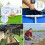 Greenhouse Clamps, Durable ABS Construction for Snap Clamps, Multi-Use Clamping Solutions for Cold Frames, Shelters, Row Covers 4