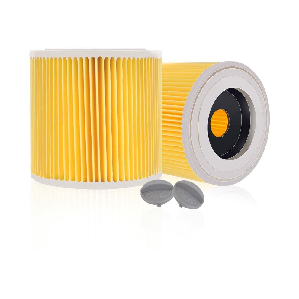 High-Efficiency Cartridge Filter Set, Maximum Performance Wet & Dry Vacuum Cleaner Filters for Extended Usage (2 Pack)