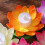 8Pz LED Lotus Assortite Per Decorazioni Acquatiche 9