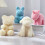 Moule en Silicone époxy Animal Rose de saint-valentin,-Ours 4