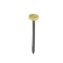 Securit S6205 Brass Headed Picture Pins Pack Of 6