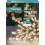 Premier Premier 5m 50 LED Multi Function Christmas Timelights in Warm White 2
