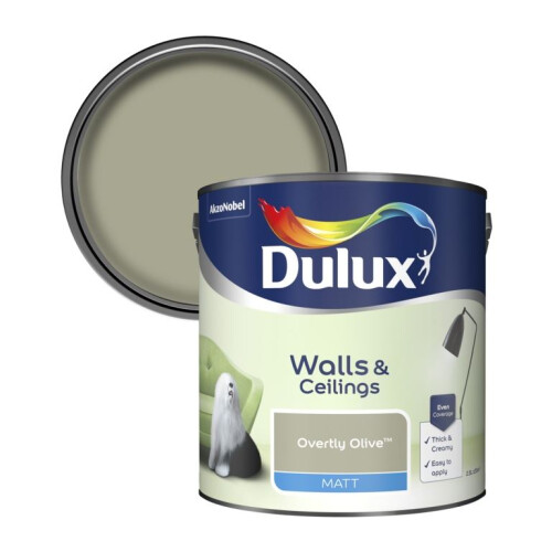 Dulux Dulux Rich Matt Overtly Olive 2.5L 1