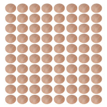 240Stk Robuste Holz Button Plug Möbel Reparatur Lichtbraun