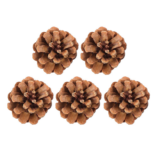 15Ud Para Masticables Naturales Café 2
