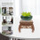 2Ud Base Madera Estilo Chino Para Soporte De Macetas Y Artesanías 10