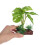 4Pièces Décorations Aquarium Plantes Vertes Résistantes 4
