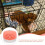 5Pcs ABS Hanging Feeding Bowls for Small Pets Cage 8
