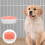 5Pcs ABS Hanging Feeding Bowls for Small Pets Cage 9