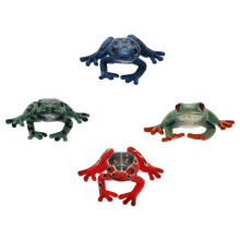 16Pz Statue Rana Realistiche Giocattoli Educativi Colorati Per Bambini