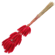 180Pz Bouquet Erba Coda Coniglio Rossa Decorazione