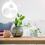6St Micro Landschap Glazen Terrarium Met Open Kwaliteit 9