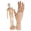 8Pz Manichini Legno Beige Con Stand Per E Pittura 2