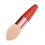 9Stk Damen Makeup Set Pinseltrio Bunt Professionelle 10