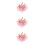 3Pz Mollette Rosa A Con Per 8
