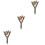 3Stk Stabile Holz Vogelstand Bunt - Und Ruheplatz 7