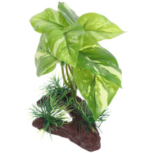 4Ud Plásticas Para Acuario Decorativas Realistas
