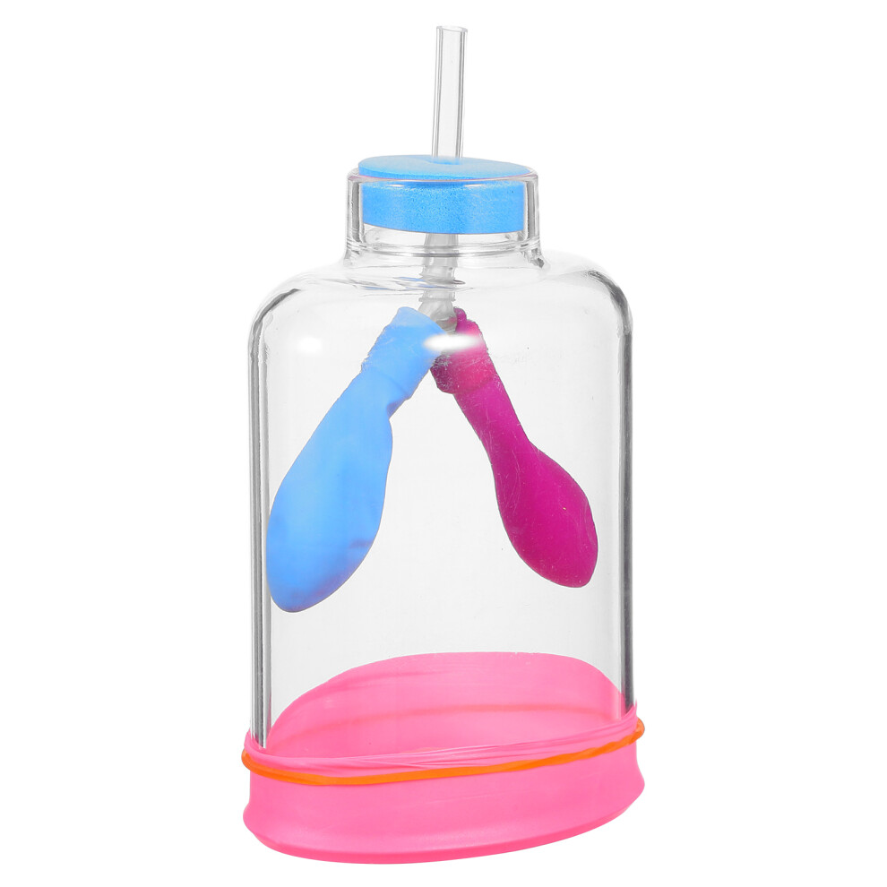 3Zest Model PłUc Z Plastiku Do Nauki - Realistyczna Symulacja Oddechu-image