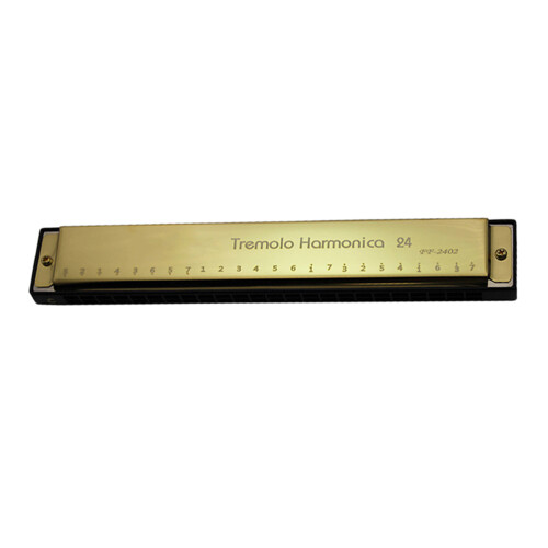 2Pz Armonica Dorata Musicale 24 Per Principianti