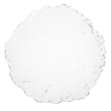 6Pz Piatti Trasparenti in Per Pasta E Western