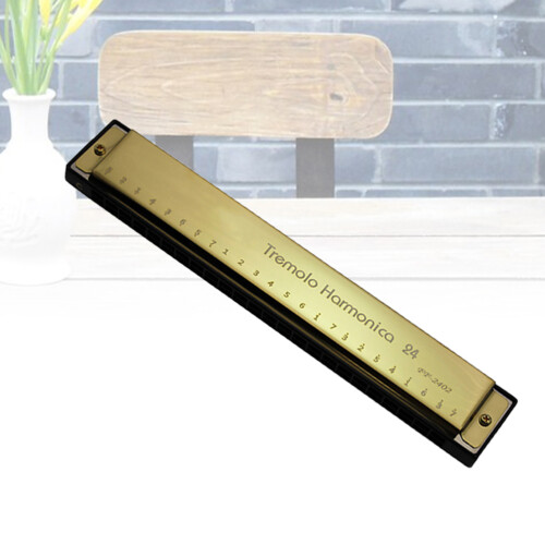2Pz Armonica Dorata Musicale 24 Per Principianti 1