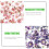 24Set Stickers Tema Fiore Per Decorare Agenda, Libro E Scrapbook 7