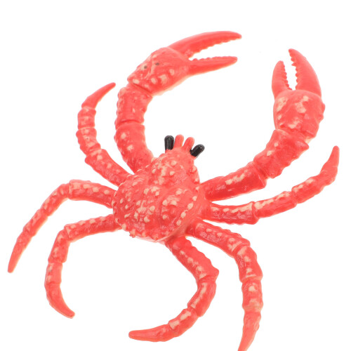 3Pz Simulato Rosso in PVC Gioco Educativo E Decorativo 2