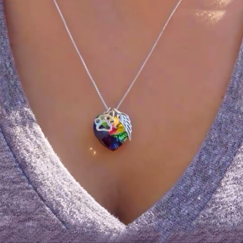 Collier pont arc-en-ciel pour chat et chien, collier-UN 2