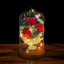 Eternal Flower Rose: Preserved Flower Gift With Led Mood Lights, Light Up Rose In Glass Dome For Women On Special Occasions