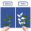 32 Sheets Sun Printing Paper Kit High Sensitivity Sun Printing 3