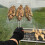 BBQ Fish Grill Net Barbecue Grilling Rack Non-Stic 4