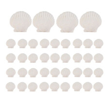 40 Stück Natürliche Jakobsmuscheln, 3,6-6,1 Cm, Weiß, Kleine Muscheln zum Basteln, Muscheln in Großen Mengen, Echte Muscheln