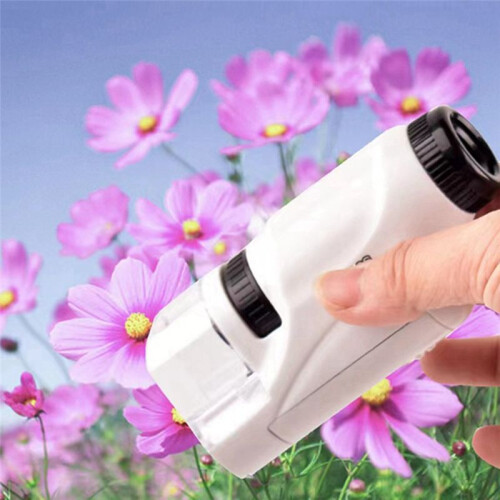 Handheld Microscope Science Laboratory  Handheld Battery Powered Children's Microscope White 2
